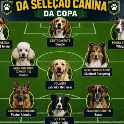 Convocação aponta raças pretendidas para a Seleção Canina da Copa