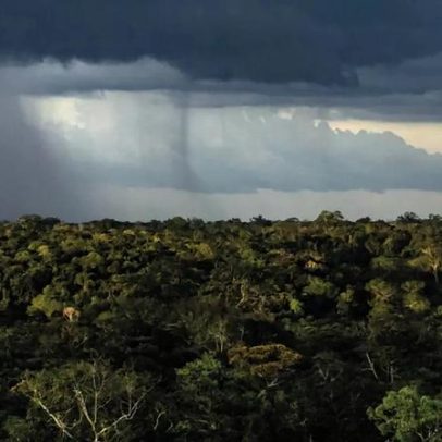 Mudanças climáticas tornam chuvas na Amazônia mais sensíveis ao desmatamento