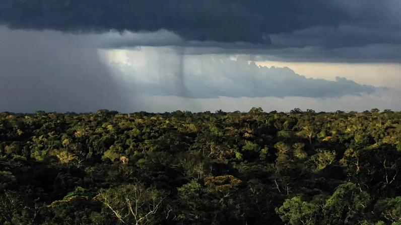 Chuvas na Amazônia: estudo om participação de pesquisadores de cinco países investigou como as mudanças climáticas globais e os padrões regionais de uso da terra interagem para influenciar os padrões de precipitação na região sul do bioma até o ano de 2050.