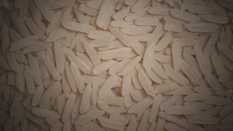 Pesquisadores descobriram que grãos de arroz exibem um comportamento mecânico pouco comum: em vez de ficarem mais resistentes quando comprimidos rapidamente, eles se tornam menos rígidos sob esse tipo de esforço – depositphotos.com / VadimVasenin