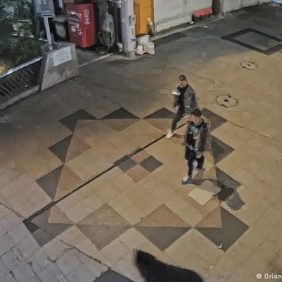 Urso provoca suspensão de aulas em 94 escolas no Japão