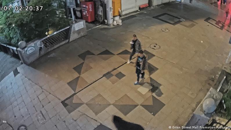 Urso foi visto em áreas residenciais e outros locais em Utsunomiya, como em um centro comercial, um parque e próximo a escolas