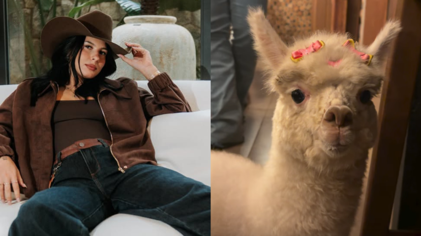 Ana Castela apresentou a alpaca Odete aos seguidores nas redes sociais