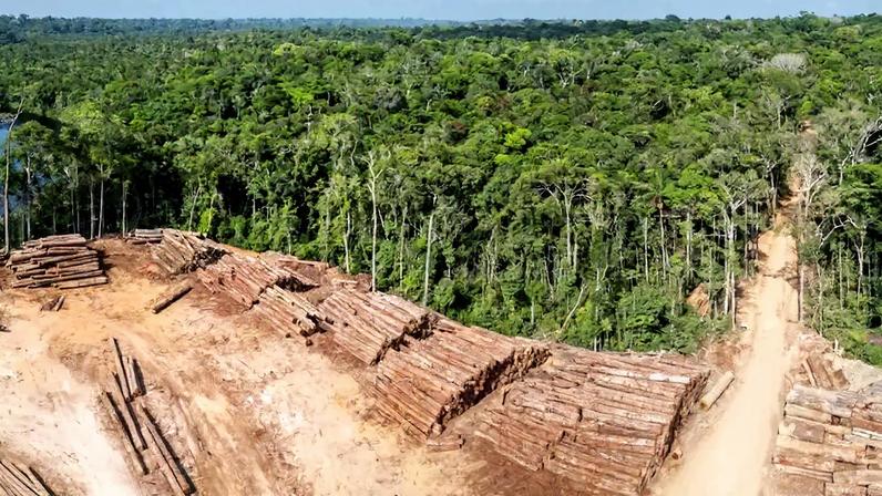 Muitos sistemas sociais, assim como os da natureza, têm pontos de inflexão, o que significa que não precisamos convencer todo mundo a fazer a coisa certa, mas um número suficiente de pessoas para fazer o sistema mudar na direção certa. Tarcisio Schnaider/Shutterstock
