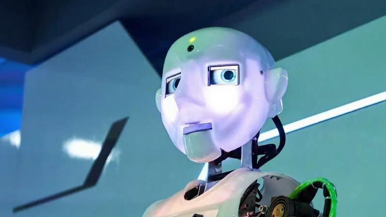 Robo Huamnoide