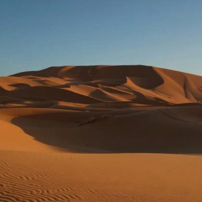 Cientistas soltam 500 tartarugas para enfrentar desertificação no Sahel