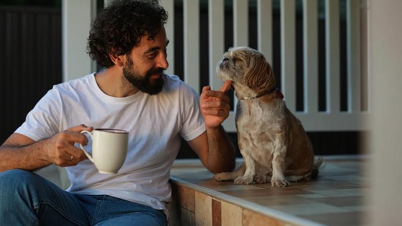 Conquistar a confiança do cachorro é um dos passos mais importantes para garantir o bem-estar do animal