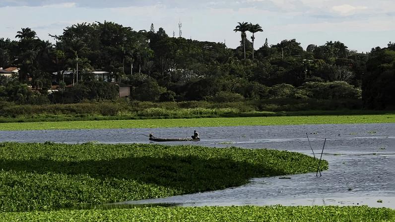 Segundo a Caesb, presença de plantas aquáticas é natural, sem relação com o tratamento de água - (crédito: Carlos Vieira CB/DA Press)