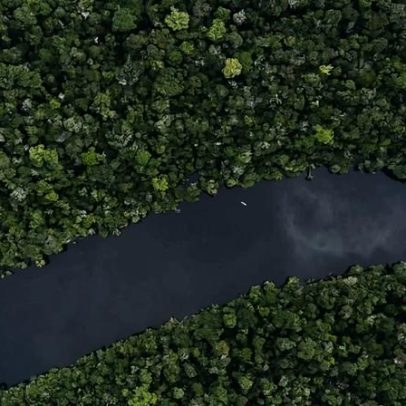 Desmatamento na Amazônia registra maior queda percentual já observada para maio