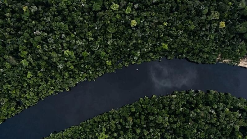 A área desmatada na Amazônia chegou a 2.189 quilômetros quadrados, volume 37,5% inferior ao registrado no último levantamento - (crédito: MAURO PIMENTEL / AFP)