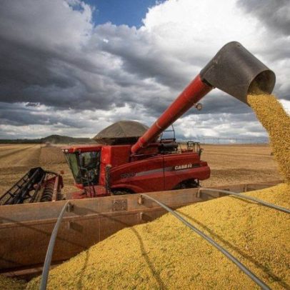 IGP-M cai 0,50% em junho com recuo de combustíveis, café e commodities