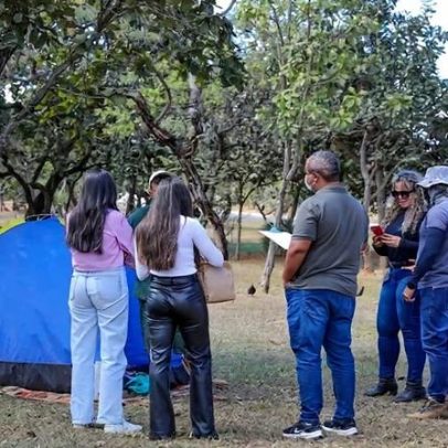Celina Leão afirma que internação humanizada não deve ser indiscriminada