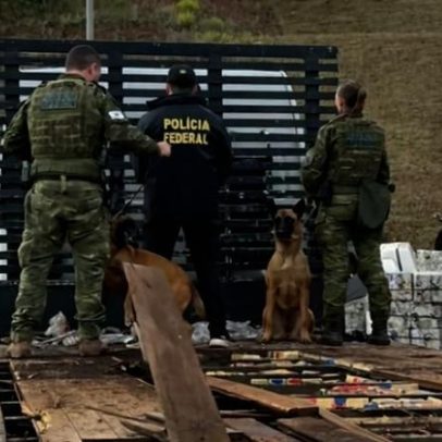 PF apreende 5,5 toneladas de maconha escondidas em carga no Paraná