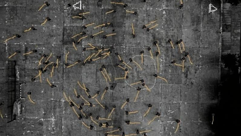 Registros de deslocamento revelam a predominância de viradas em sentido anti-horário em estudo sobre comportamento de pedestres - (crédito: ©2026 Echeverría-Huarte et al. CC-BY-ND)