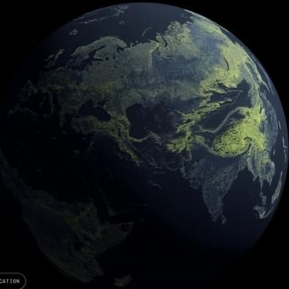Mapa inédito revela a vasta rede de fungos que sustenta o planeta