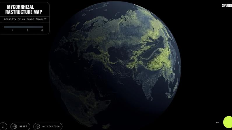 O Mapa da Infraestrutura Micorrízica revela a distribuição global das redes de fungos que regulam o clima e sustentam a vida vegetal - (crédito: Truth & Beauty / Moritz Stefaner Justin Stewart - SPUN)