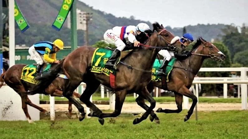 Zucca Baby (número 7) em ação durante a corrida que o consagrou campeão do Grande Prêmio Brasil no Hipódromo da Gávea - (crédito: Sylvio Rondinelli/JCB)
