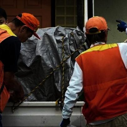 Urso capturado encerra alerta de quatro dias em cidade japonesa