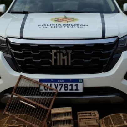 Desmantelada criação irregular de aves silvestres em Planaltina
