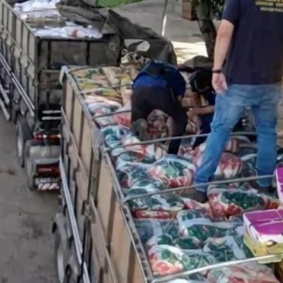 Fiscalização no DF apreende R$ 2,6 milhões em mercadorias ilegais