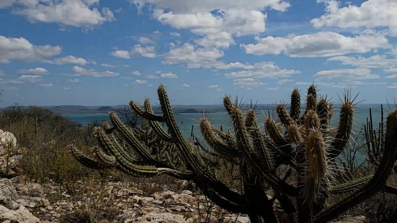 Entre os princípios que orientam a política estão a sustentabilidade ambiental, a conservação da biodiversidade e a participação e o engajamento social - (crédito: Gabriel Carvalho/Setur-BA)