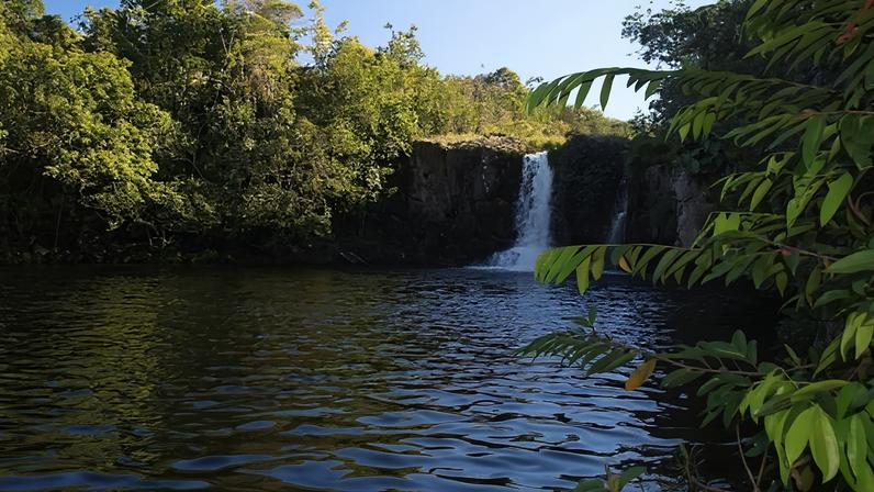 Tragédia ocorreu em Alto Paraíso de Goiás - (crédito: Divulgação/ Fazenda São Bento)
