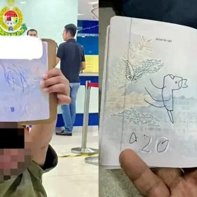 Criança desenha dinossauro em passaporte e mãe tem viagem cancelada