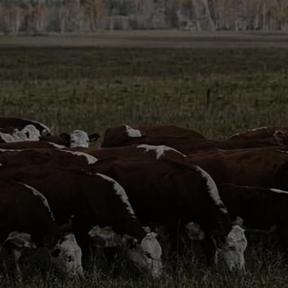 Metano como resposta rápida à crise climática