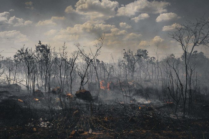 Mais da metade da área desmatada no país em 2025 faz parte do Cerrado - (crédito: Vladimir Luz)
