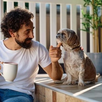 7 dicas para ganhar a confiança do seu cachorro