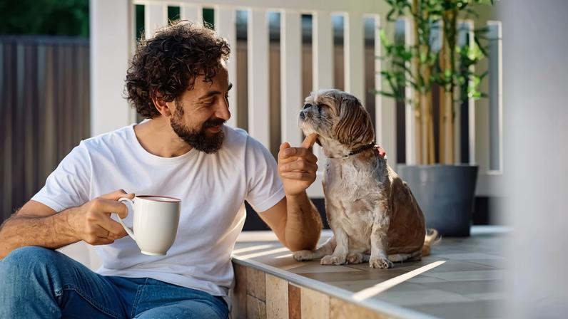 Conquistar a confiança do cachorro é um dos passos mais importantes para garantir o bem-estar do animal (Imagem: Drazen Zigic | Shutterstock) - (crédito: EdiCase)