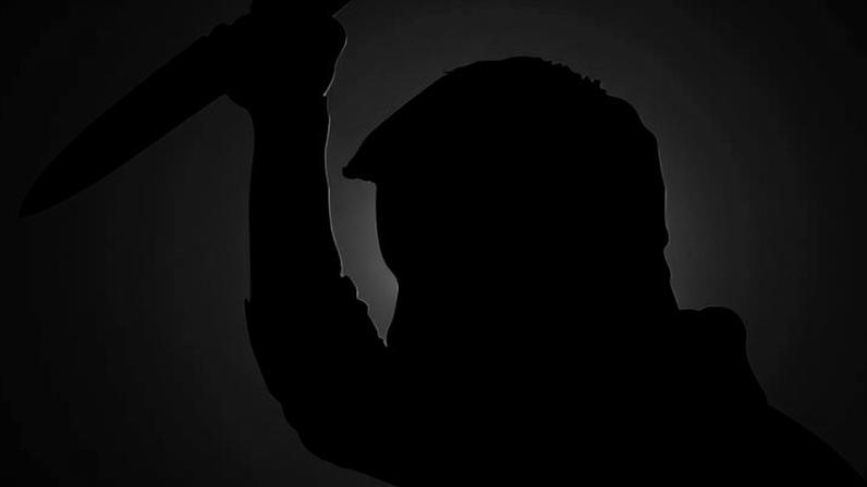 O suspeito foi encontrado e detido pelos policiais pouco tempo depois. Ele foi conduzido à 8ª Delegacia de Polícia (Estrutural), onde o caso está sendo registrado - (crédito: Gordon Johnson/Pixabay)