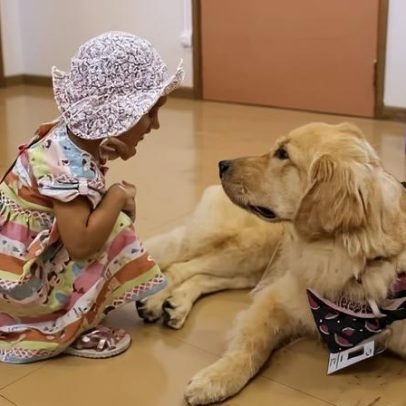 Neuropsicanalista discute suporte emocional com animais em palestra