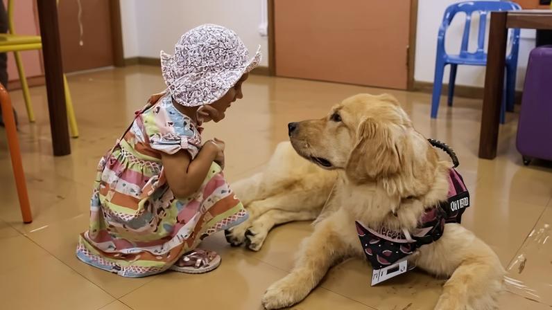 Palestra neste sábado (27/6) trata sobre importância de animais de suporte e tem entrada gratuita - (crédito: Divulgação)