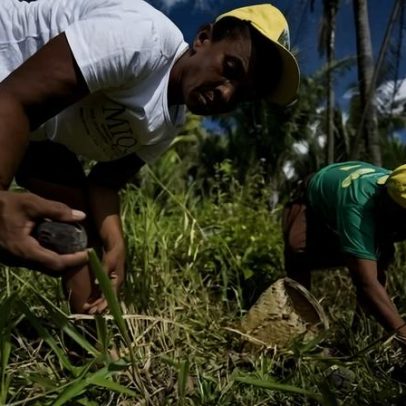 Lula sanciona lei que reconhece atividade de quebradeiras de coco babaçu