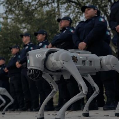 Cães-robô reforçam segurança em estádios da Copa do Mundo