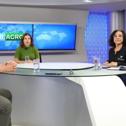 Vinho e queijo de cabra do DF recebem prêmios internacionais