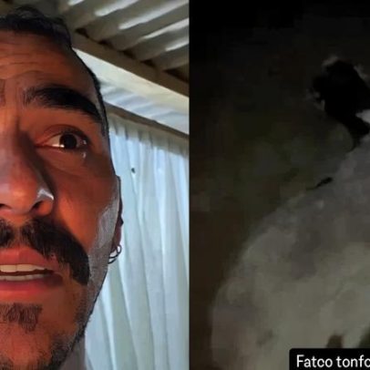 Influenciador que relatou OVNI no Paraná denuncia morte de cabra