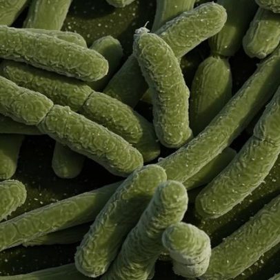 Novo antibiótico ataca superbactérias com abordagem inédita