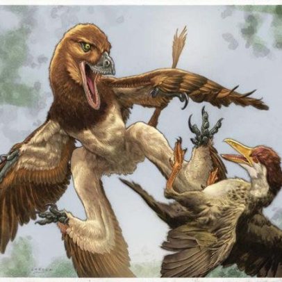 Dinossauro chinês com quatro asas para planar