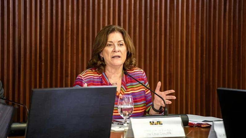 Segundo a titular da Casa Civil, o governo prepara uma versão do Desenrola para quem está adimplente, mas com o orçamento comprometido pelas parcelas - (crédito: Henrique Raynal | CC)