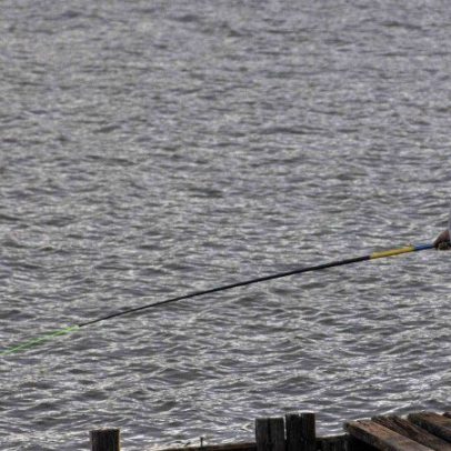 Novos decretos regulamentam pesca no Lago Paranoá e manejo do pirarucu