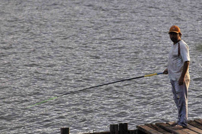 A captura do pirarucu no Lago Paranoá segue proibida no local por até 24 meses; - (crédito: Minervino Júnior/CB/D.A.Press)