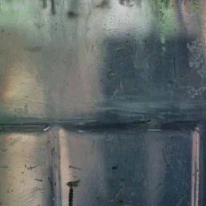 O que fazer após tomar a vacina da dengue do Butantan