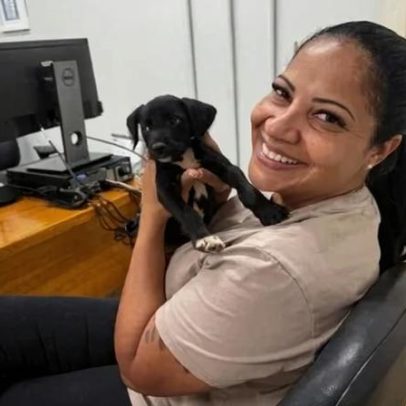 Filhote resgatado de abuso é adotado