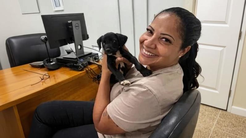 Jorginho foi adotado por Fabiana - (crédito: Divulgação)