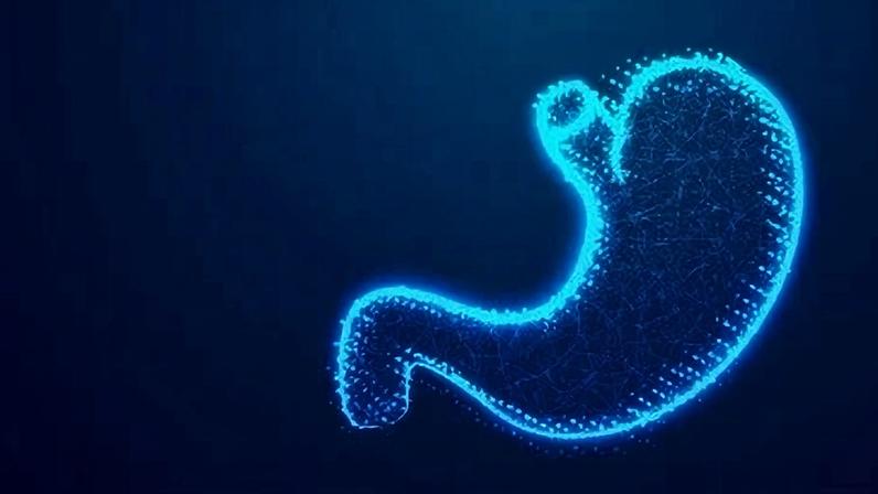 Câncer de pâncreas é dos que tem a mais alta taxa de letalidade - (crédito: Freepik)
