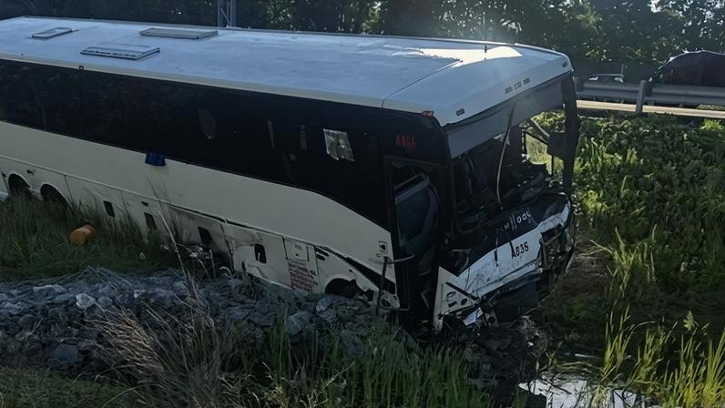 Acidente envolvendo ônibus mata cinco pessoas, entre elas uma mineira, em Virgínia, nos Estados Unidos - (crédito: Reprodução)