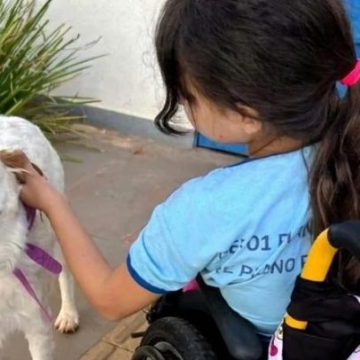 Projeto de serviços assistidos por animais abre inscrição para voluntários