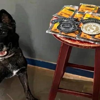 Operação na Papuda apreende fumo e cocaína durante visita a presos